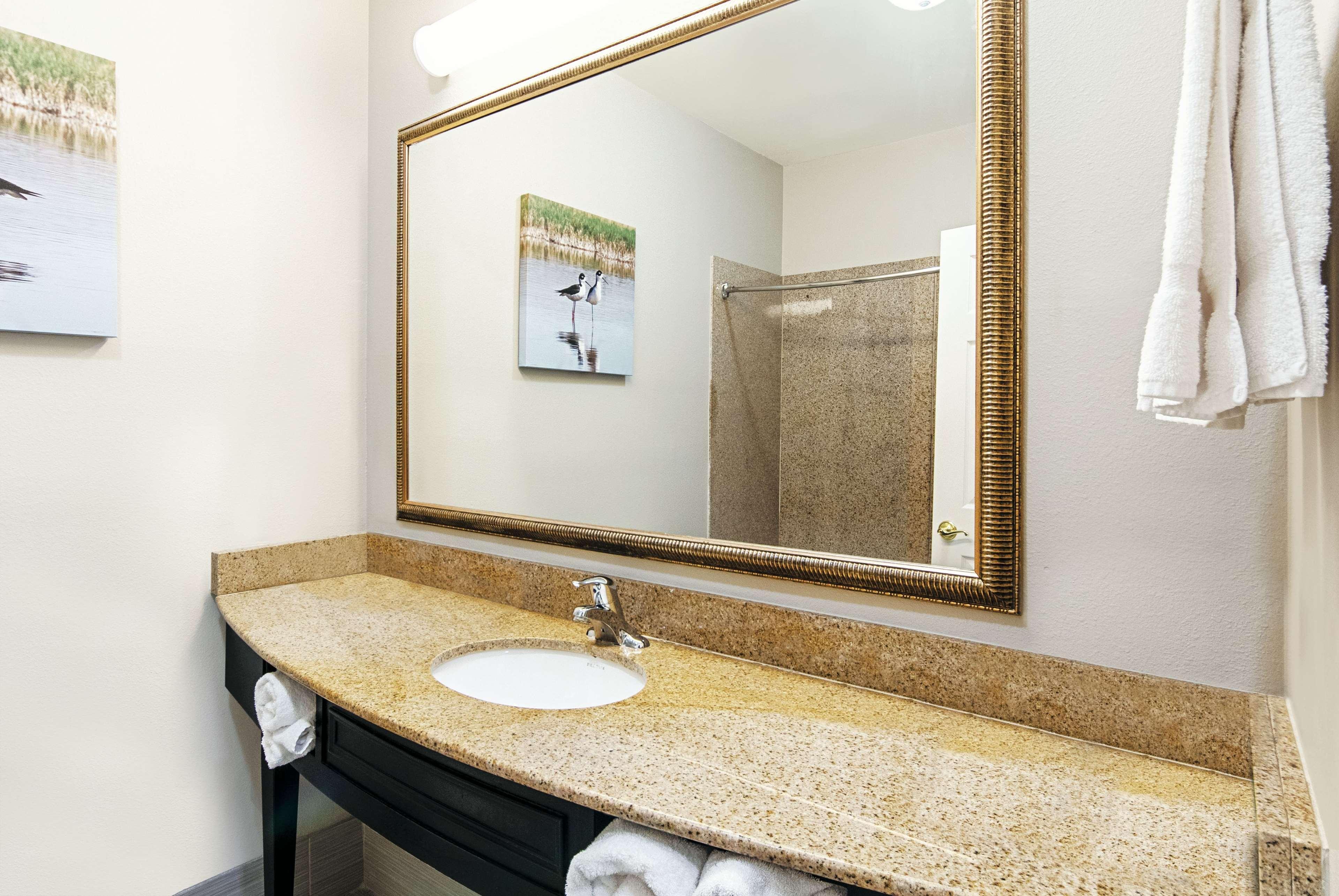 La Quinta By Wyndham Alamo-Mcallen East Bagian luar foto